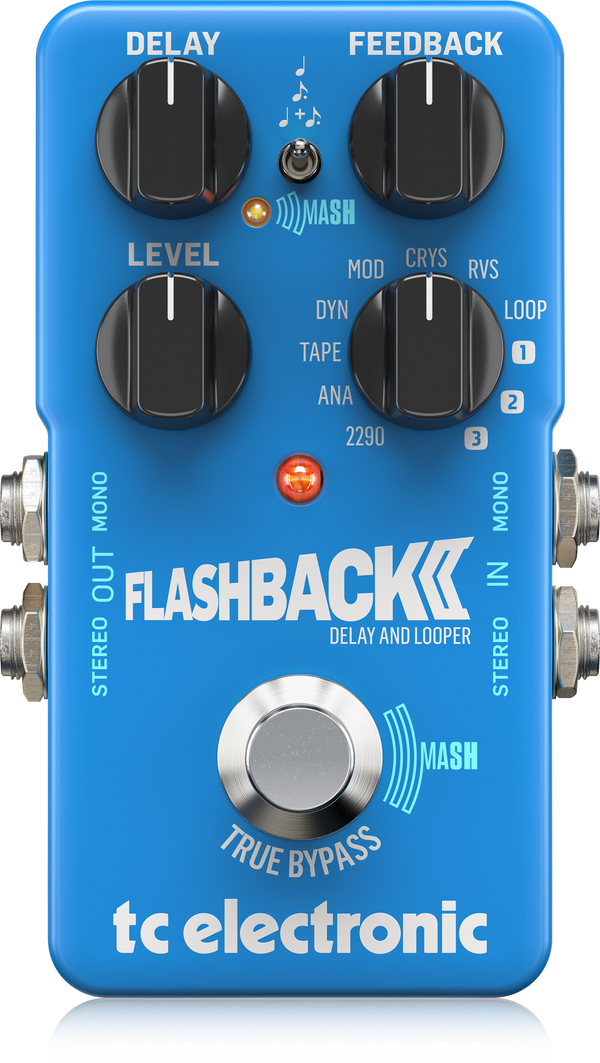 FLASHBACK 2 DELAY